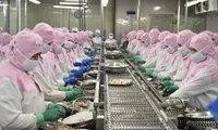 Vietshrimp 2024: Measures sought to recover shrimp industry