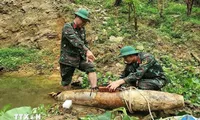 War-time bomb safely defused in Nghe An province