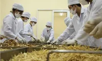 PM orders review of regulations hampering medicinal herb exports