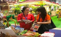 Vietnam outstanding export fair opens in Ho Chi Minh City