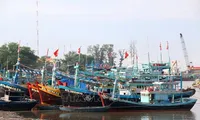 Binh Thuan ramps up efforts to combat IUU fishing