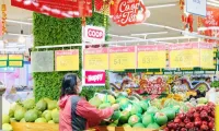 Vietnamese distribution channels 'support' Vietnamese agricultural products