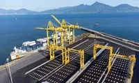 Tien Sa Port opens new container yard