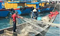 Tien Giang works hard on IUU fishing combat