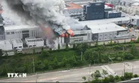 No Vietnamese reported injured or dead in RoK's battery plant fire