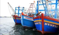 Kien Giang pushing back illegal fishing