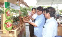 Conference promotes consumption of Thanh Ha lychees and key agricultural products of Hai Duong Province