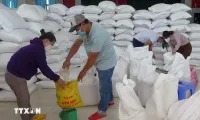 Over 1,000 tonnes of rice allocated to five central, Central Highlands localities