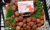 Vietnamese lychees become familiar to Thai consumers