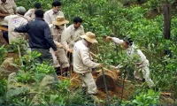 British organisation supports Quang Binh in UXO clearance