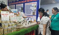 Hanoi launches promotion fair to boost consumption