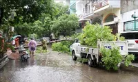 Localities dealing with consequences of Storm Prapiroon