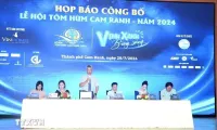 Khanh Hoa's Cam Ranh city to host first-ever lobster festival