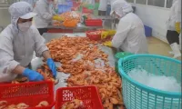 UOB maintains Vietnam’s growth forecast at 6%