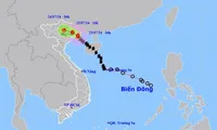 Storm No.2 at shock level 11 in Quang Ninh-Hai Phong coastal area