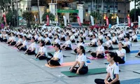 10th International Yoga Day takes place in Binh Dinh