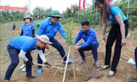 Project to help with climate change adaptation, development in Dien Bien