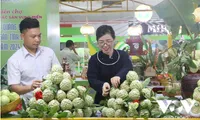 Lang Son advertises custard-apples and typical farm produce in Hanoi