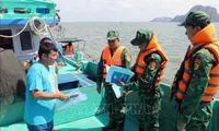 Kien Giang follows EC recommendations to combat IUU fishing