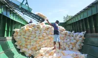 Vietnam, Thailand vie for larger rice market share in Philippines