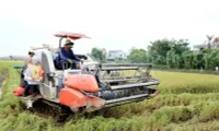 RoK promotes agricultural equipment export to Vietnam