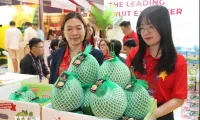 Vietnamese vegetables, fruits promoted at Asia Fruit Logistica