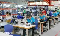 Vietnam enjoys stable economic rebound so far