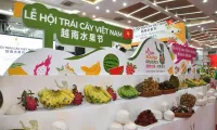 First Vietnam fruit festival opens in China