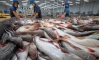 Vietnam becomes second largest supplier of white fish to US