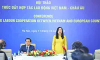 Vietnam seeks deeper labour cooperation with Europe