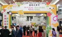 First Vietnam fruit festival opens in China