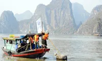 Post-storm cleanup campaign in Ha Long Bay launched