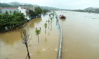 Vietnam, China cooperate in natural disaster response