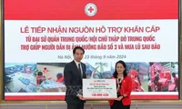 Vietnam receives 100,000 USD in Chinese donation for Typhoon Yagi victims