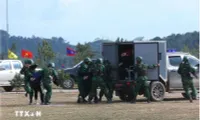 Vietnamese, Lao border localities hold joint exercise on fighting drug crime