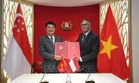 Vietnam, Singapore sign treaty on mutual legal assistance in criminal matters