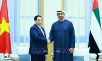 Acceleration, breakthought in ties between Vietnam and Middle East countries