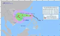 Urgent response urged as Typhoon Trami looming