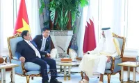 Vietnamese PM meets with Emir of Qatar in Doha