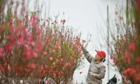 2025 Lunar New Year holiday plan submitted to PM