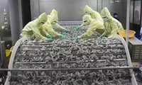 Shrimp exports bring home nearly 2.8 billion USD in nine months