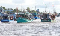 Ca Mau tightens control over 'three Nos' fishing vessels