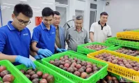 First Vietnamese enterprise exports passion fruit to Australia