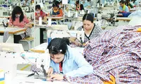 Vietnam strives to bolster exports in final months of 2024