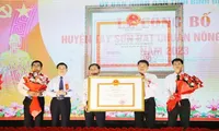 Deputy PM Ho Duc Phoc attends ceremony recognising Binh Dinh’s Tay Son District as new-style rural area