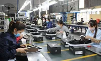 Vietnamese footwear exporters aim for green standards