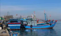 Quang Nam aims to deal with 'three no’s' fishing vessels in November