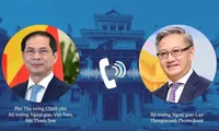 Vietnamese, Lao FMs hold online talks