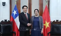 Parliamentary ties crucial to Vietnam - Chile comprehensive partnership: State leader