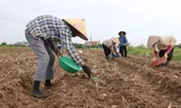 Supporting farmers in disaster prevention and mitigation